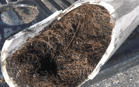 Φραγμένος σωλήνας από ρίζες