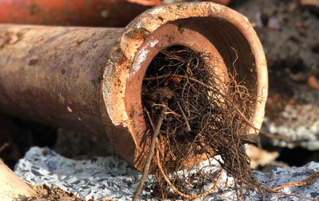 Φραγμένος σωλήνας από ρίζες